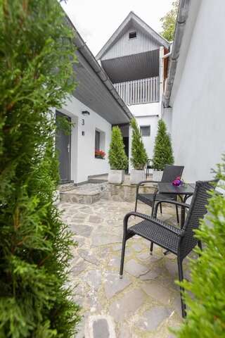 Гостевой дом Casa SEDRA Брашов-4